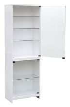 Лабораторный шкаф ШСС-1